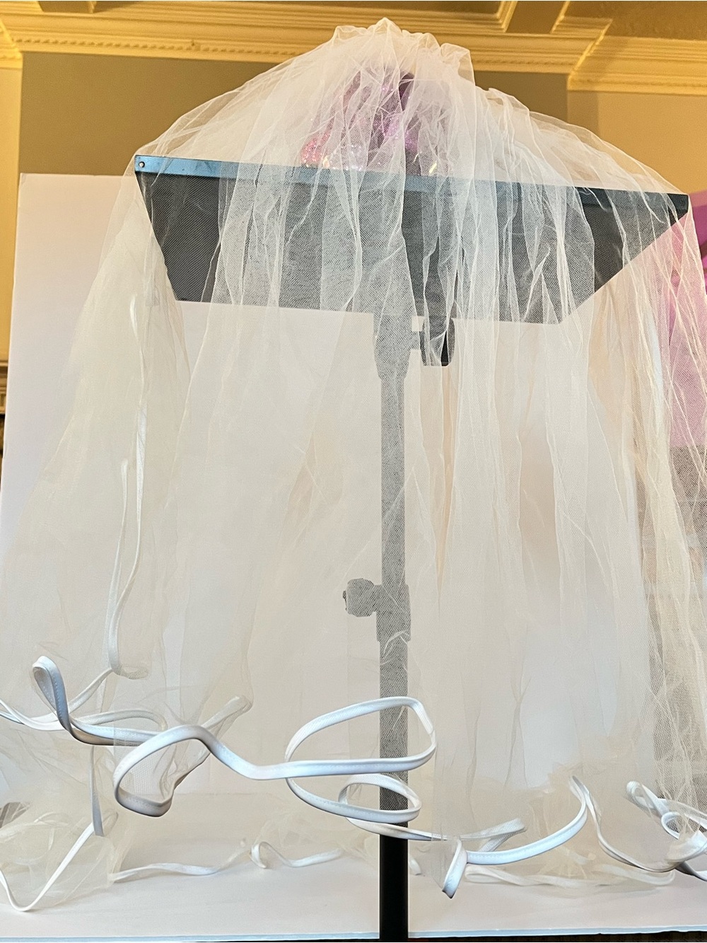 Ribbon Trim Wedding Veil | Sheer 2-Tier Bridal Tulle Fingertip length